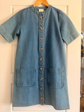 Denim Button-Front Shift Dress in Blue